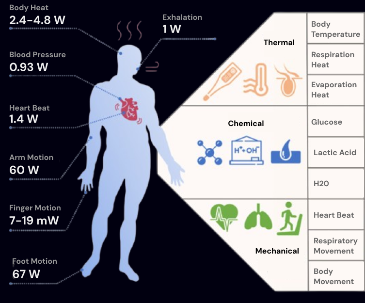 power needs of the human body