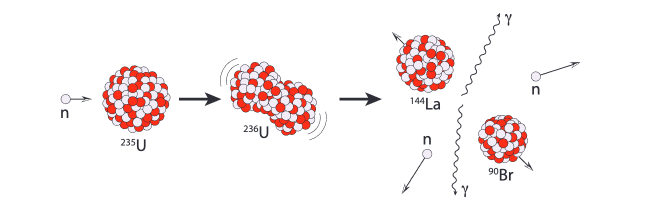 fission reaction with Uranium-235