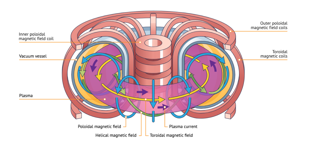 structure of a tokamak