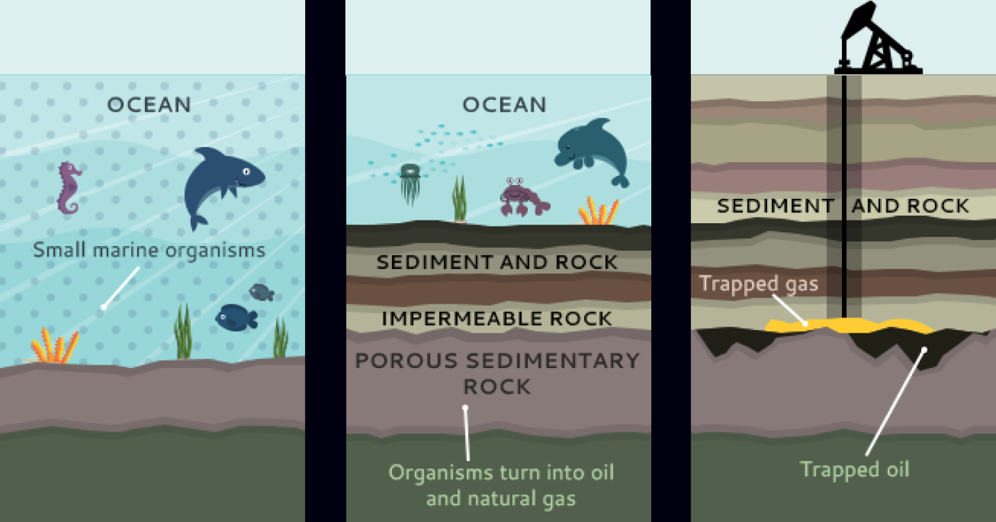 oil formation over time